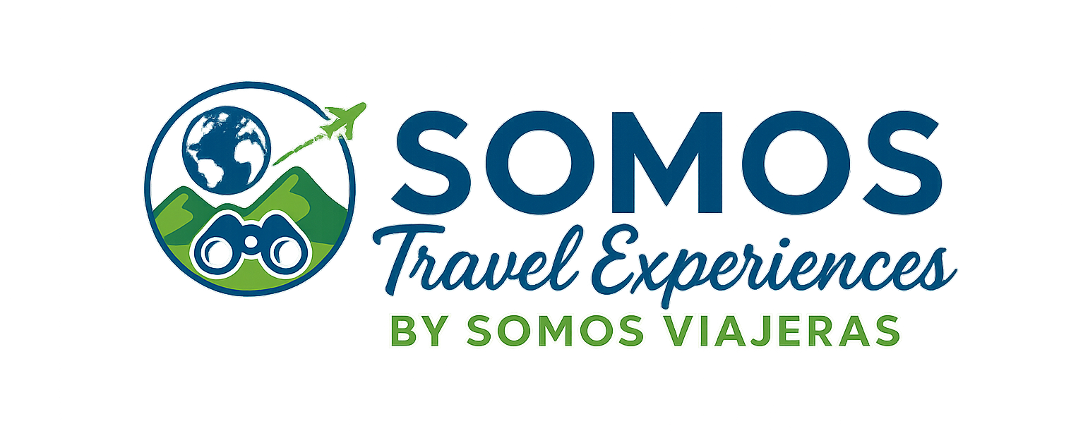 Logo STE